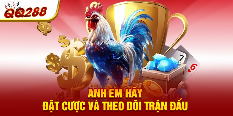 Anh em hãy đặt cược và theo dõi trận đấu Anh em hãy đặt cược và theo dõi trận đấu