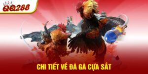 Chi tiết về đá gà cựa sắt