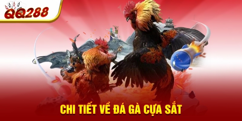 Chi tiết về đá gà cựa sắt Chi tiết về đá gà cựa sắt