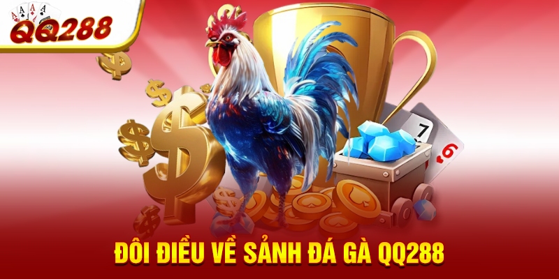 Đôi điều về sảnh đá gà QQ288 Đôi điều về sảnh đá gà QQ288