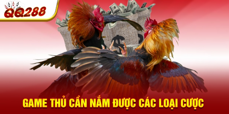 Game thủ cần nắm được các loại cược Game thủ cần nắm được các loại cược