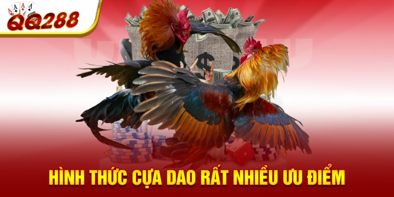 Hình thức cựa dao rất nhiều ưu điểm Hình thức cựa dao rất nhiều ưu điểm
