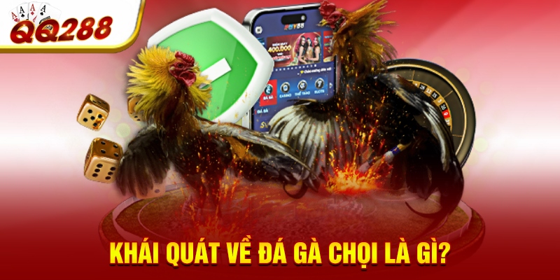 Khái quát về đá gà chọi là gì? Khái quát về đá gà chọi là gì?