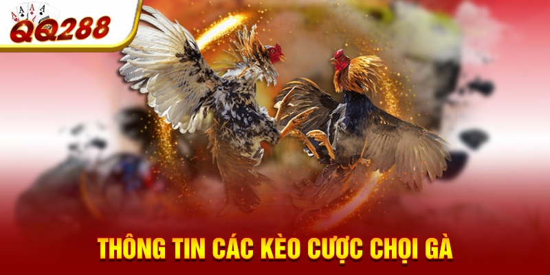 Thông tin các kèo cược chọi gà Thông tin các kèo cược chọi gà