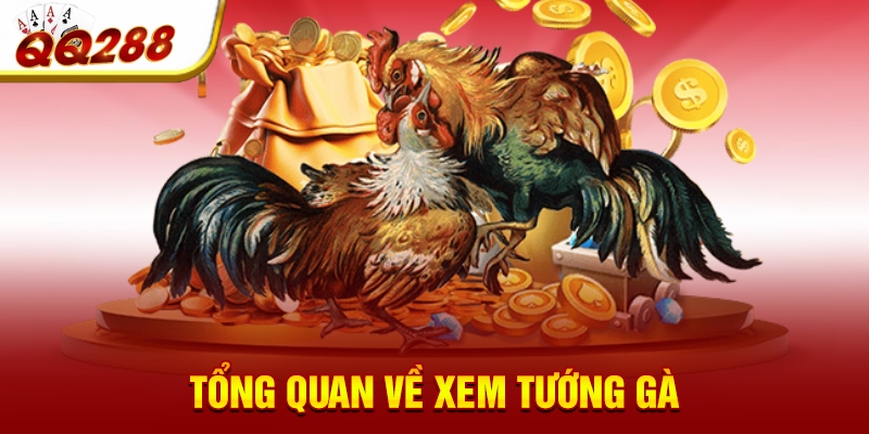 Tổng quan về xem tướng gà Tổng quan về xem tướng gà