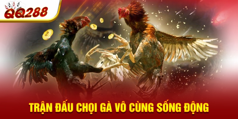 Trận đấu chọi gà vô cùng sống động Trận đấu chọi gà vô cùng sống động