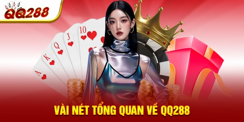 vai net tong quan ve qq288 vai net tong quan ve qq288